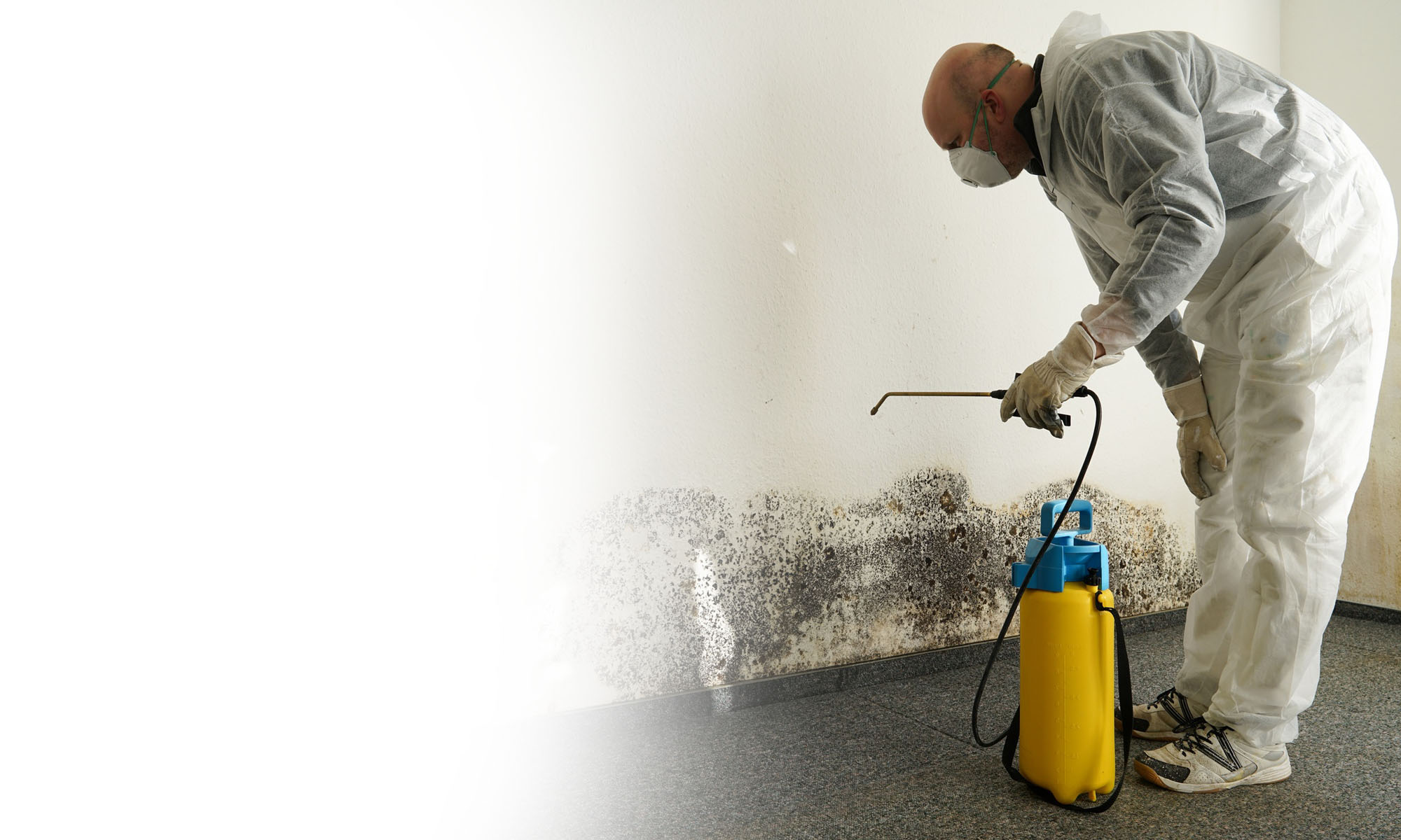 Water damage restoration worker treating mold